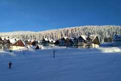 IMG-20210124-WA0011