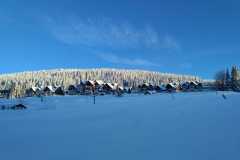 IMG-20210124-WA0012