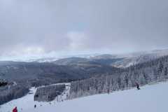 IMG-20210124-WA0013