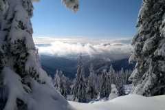 IMG-20210124-WA0014