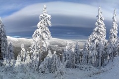 PANO_20210101_120808