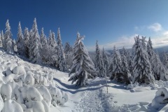 PANO_20210109_115641