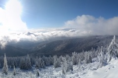 PANO_20210109_120823