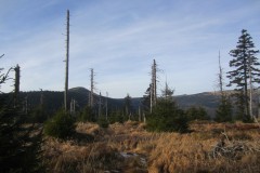 okoli-12